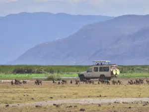 Lake Manyara National Park