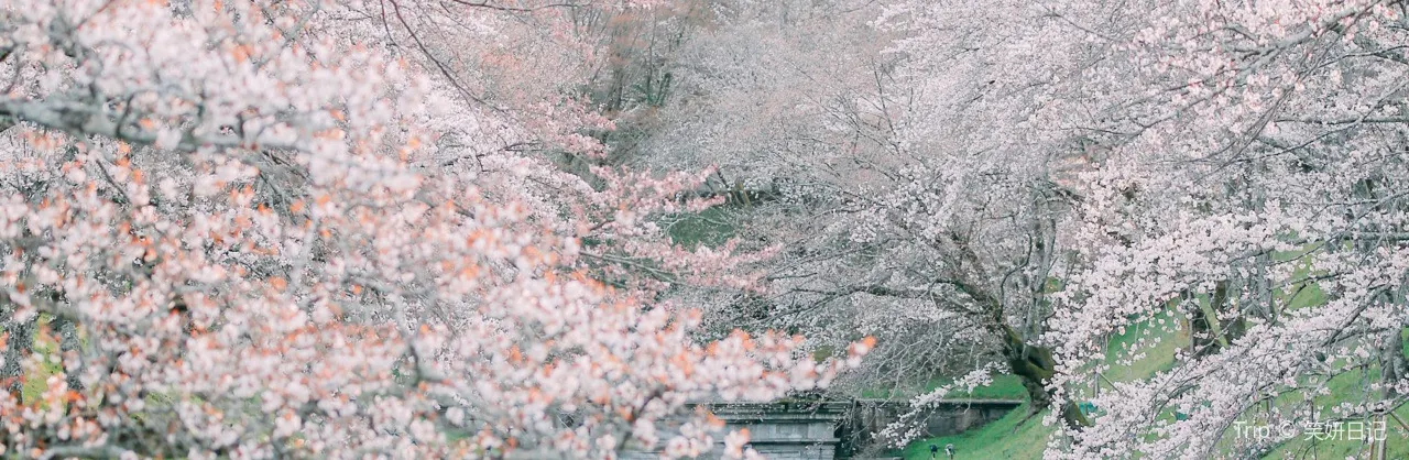 踏青走春地