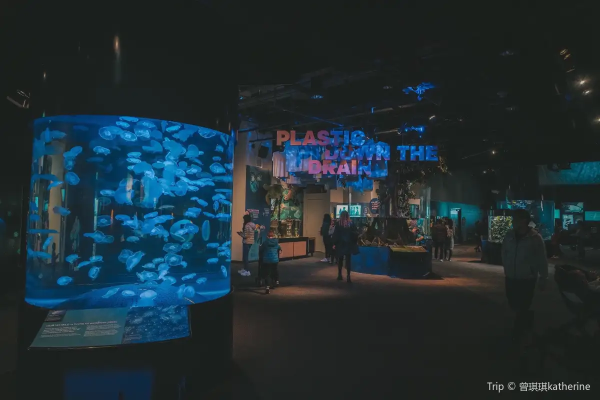 溫哥華景點- 溫哥華水族館