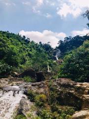 Jianling Forest Nature Reserve