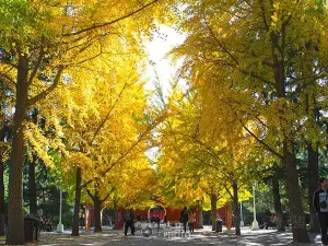 Zhongshan Park