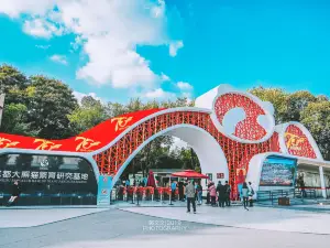 Chengdu Research Base of Giant Panda Breeding