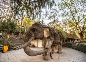 杭州動物園