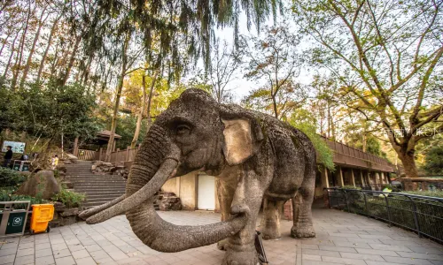 杭州動物園