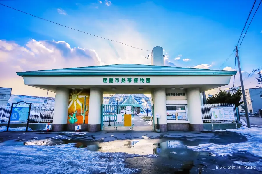 Hakodate Tropical Botanical Garden (Hot-Tubbing Monkeys)