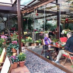 Pelican Kipos 여행 사진