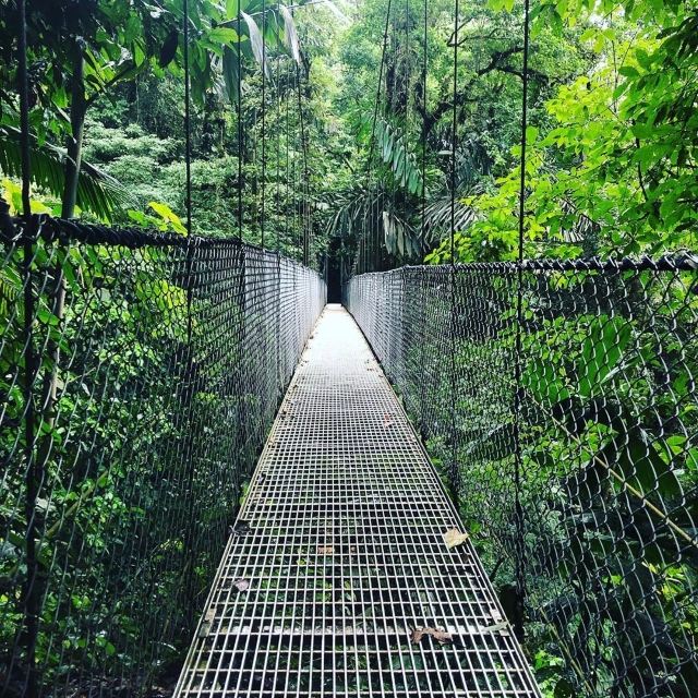 Mistico Arenal Hanging Bridges Park