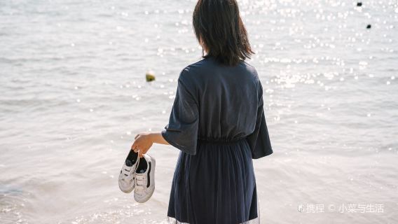 深圳大鵬一日遊【包車上門接+天文台+楊梅坑+較場尾+桔釣沙】