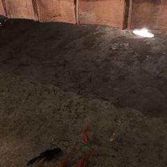 博鳌海鸭湖果园饭店 User Photo