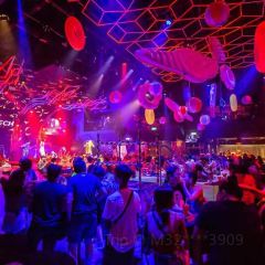 曼谷CZECH Club酒吧張用戶圖片