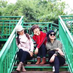 JIN PAI WAN XIAO YU CUN User Photo