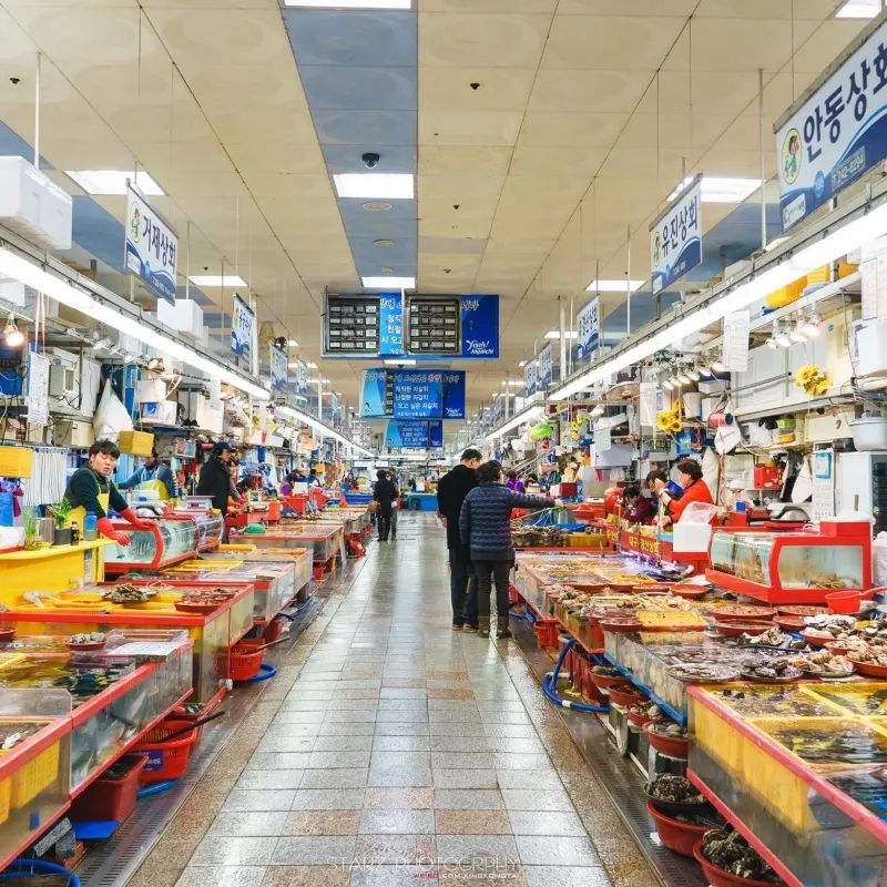 扎嘎其市場