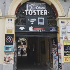Toster Bar張用戶圖片