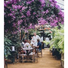 Petersham Nurseries Cafè張用戶圖片