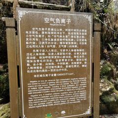 莽山天台山美食 User Photo