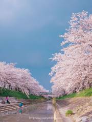 Saho River