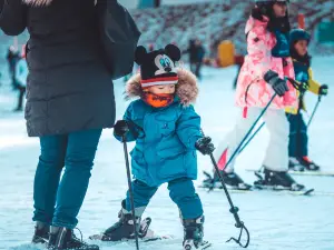 Phoenix Pyeongchang Resort