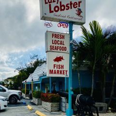 Lazy Lobster Seafood Restaurant User Photo