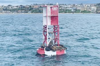 Popular Family-friendly Attractions in Newport Beach