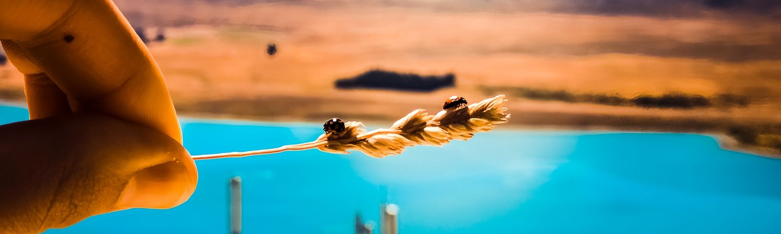 travel
