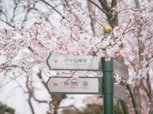 中山公園