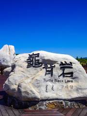 Tortoise Back Rock