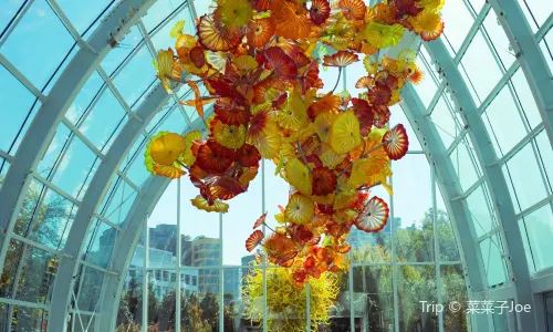 Chihuly Garden and Glass