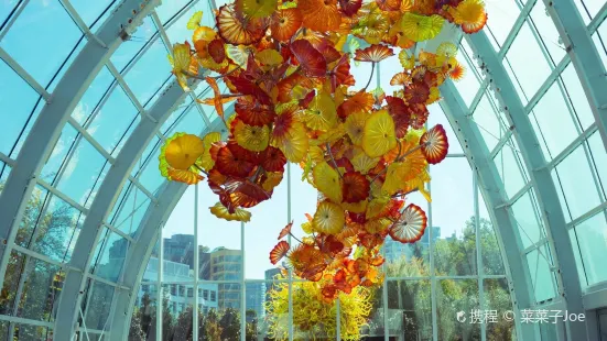 Chihuly Garden and Glass