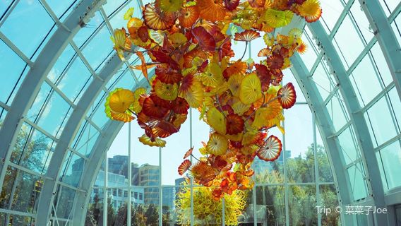 Chihuly Garden and Glass