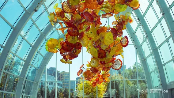 Chihuly Garden and Glass