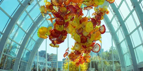 奇胡利玻璃藝術園