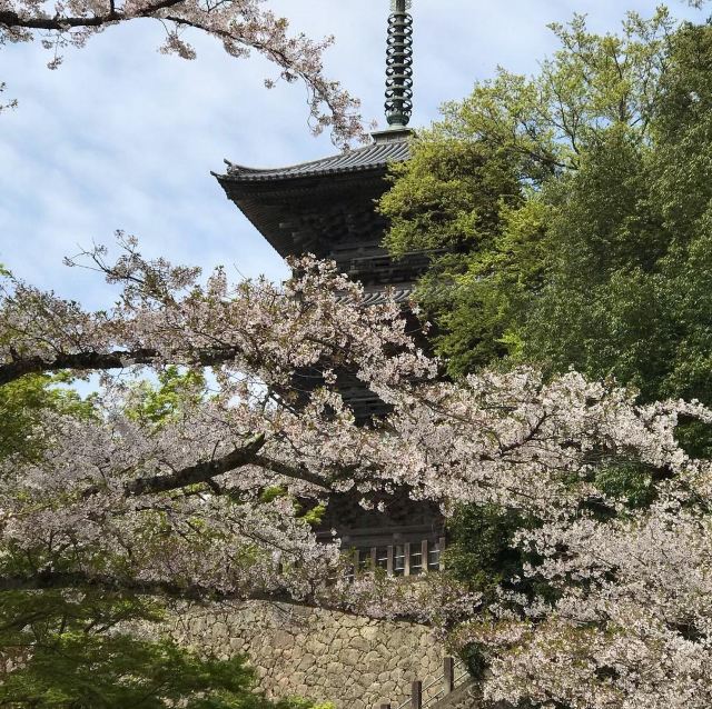 清水寺