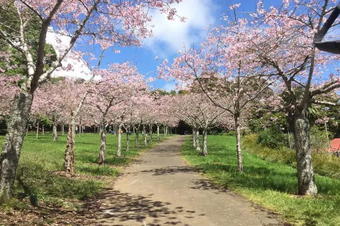 Auckland Domain