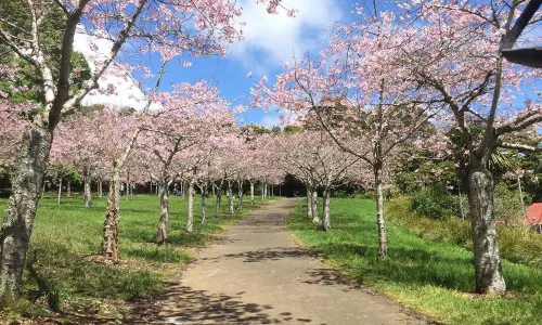 Auckland Domain
