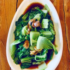 ZiYuan ChaGuan (ZhongXin ShuCheng) User Photo