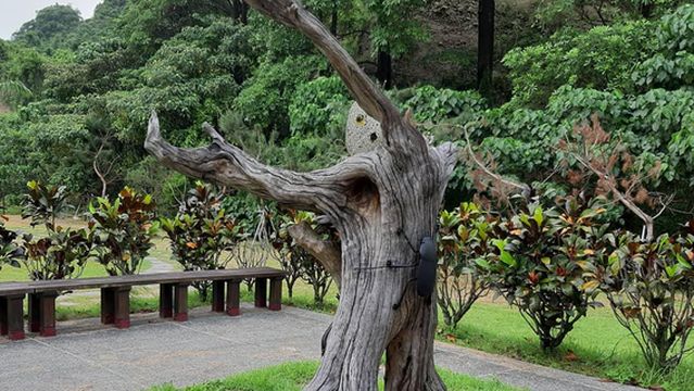 Shiba Luohan Mountain