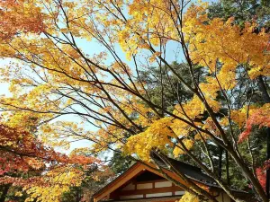 Motsuji Temple