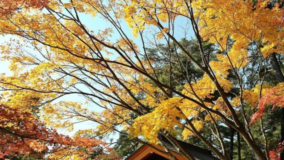 Motsuji Temple