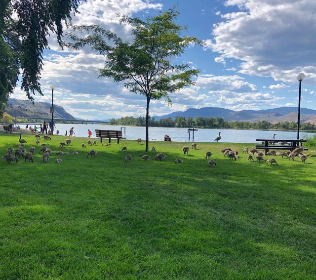 Riverside Park
