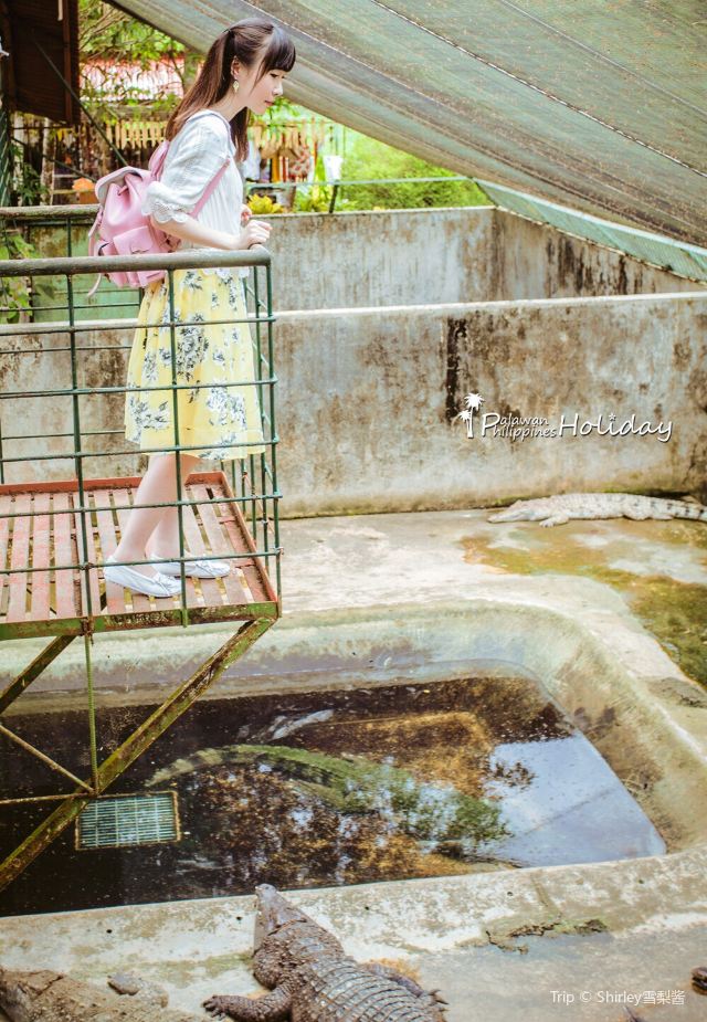 Palawan Wildlife Rescue and Consevation Center