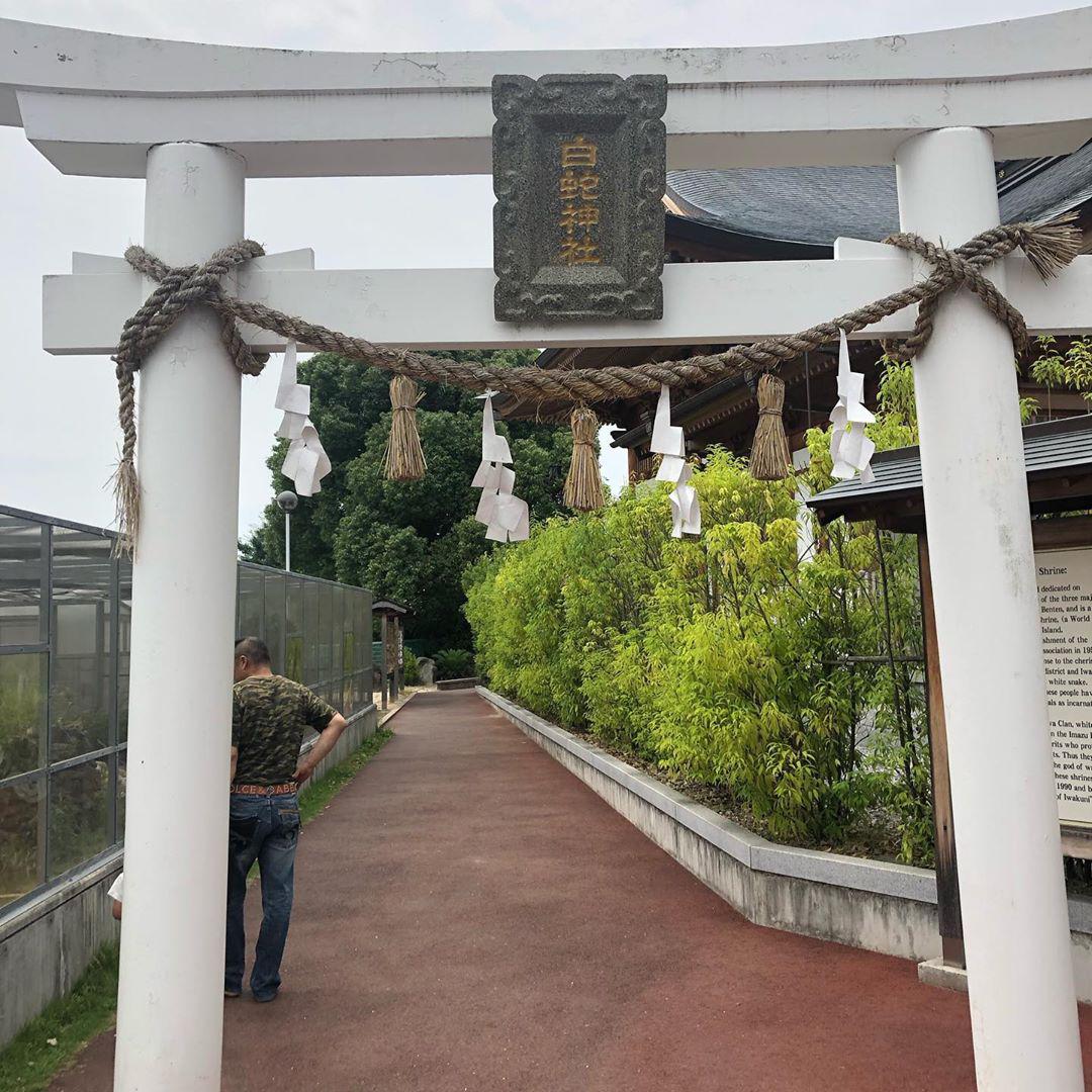 岩國白蛇神社景點評價 岩國白蛇神社門票 岩國白蛇神社優惠 岩國白蛇神社交通 地址 開放時間 岩國白蛇神社附近景點 酒店及美食 Trip Com