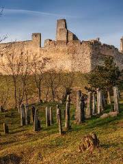 Castle of Beckov