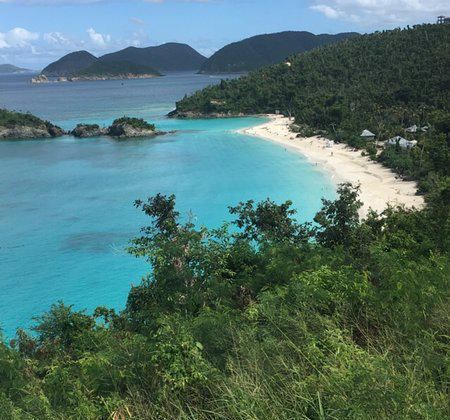 Trunk Bay