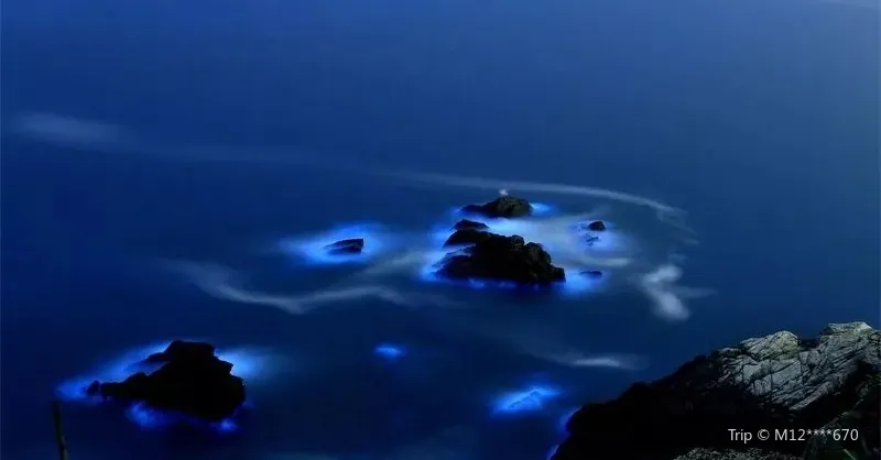 夜間人氣景點