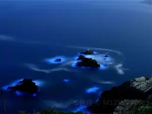 Top 20 Night Attractions in Fuzhou