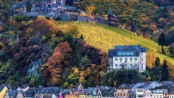 Cochem Castle