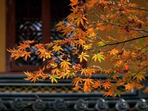 舟山の紅葉の名所・トップ10