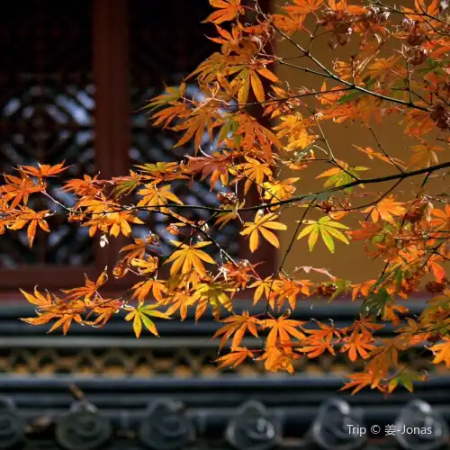 舟山10大賞秋好去處