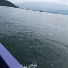 桂港海鮮城張用戶圖片