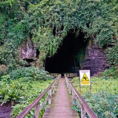 Kinabatangan ゴマントン洞窟 評判 案内 トリップドットコム